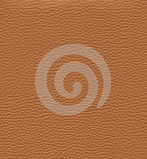 An image of a nice leather background. Cowhide texture