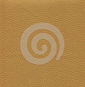 An image of a nice leather background. Cowhide texture