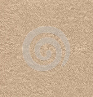 An image of a nice leather background. Cowhide texture