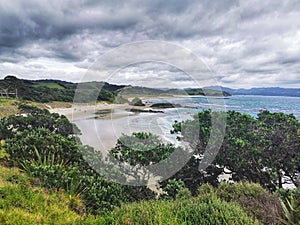 An image of the ocean beach in New Zealand hedged by large green trees under cloudy sky photo