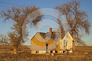 Image of a old abandoned house with trees