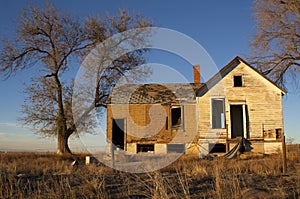 Image of a old abandoned house with trees