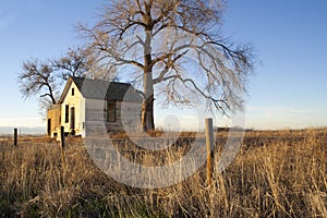 Image of a old abandoned house with trees