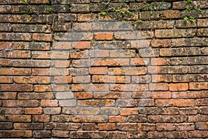 image of old mossy wall in day time