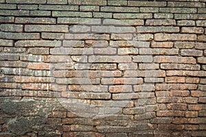 image of old mossy wall in day time