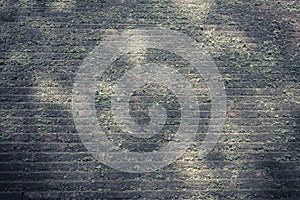 image of old mossy wall in day time