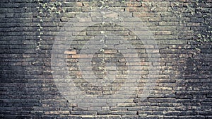 image of old mossy wall in day time