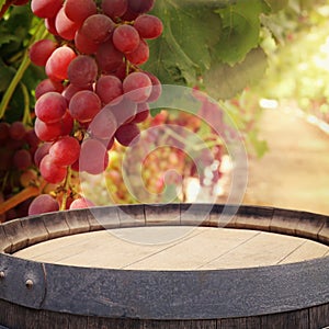 Image of old oak wine barrel in front of wine yard landscape. Useful for product display montage.