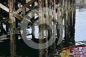 Old Wooden Dock Pillars and Water Reflections