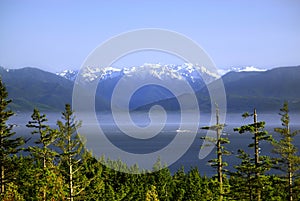 Image of the Olympic Mountains, WA