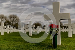 Image of one cross with a vase with red roses in the American Cemetery Margraten