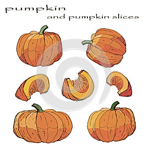 Image  of orange pumpkins on a white background