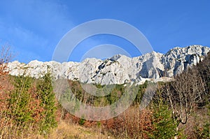 Obraz z orientální přírodní rezervace rumunsko 