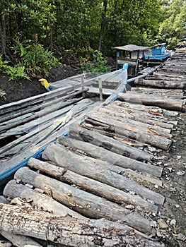 outdoor scene of the cut mangrove wood log. photo