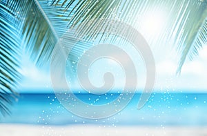 image of palm leaf on a beach backdrop with blurring