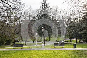 Image of a park with benches, grass and trees