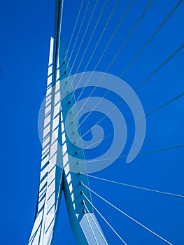 Image of a part of Erasmus bridge