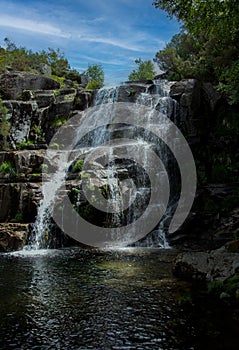 Waterfall in the Rain Forest. Tree fern waterfall tropical rain forest paradise. Fervenza de CasariÃ±os.Fervenza da Freixa photo