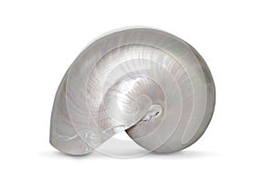 Image of pearl shell of a nautilus pompilius on a white background. Sea shells. Undersea Animals