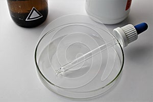 An Image of a petri dish - Petri plate, cell culture dish