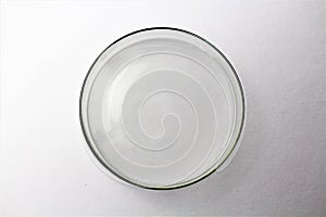 An Image of a petri dish - Petri plate, cell culture dish