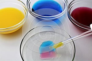 An Image of a petri dish - Petri plate, cell culture dish