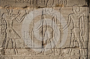 The image of Pharaohs and warriors on walls of the Egyptian