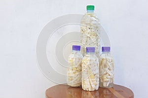 Image of pickled bamboo shoots in a bottle.