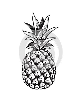 Image of pineapple fruit