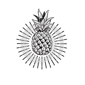 Image of pineapple fruit