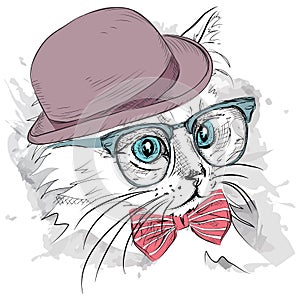 Image Portrait cat in the hat, cravat and glasses. Vector illustration.