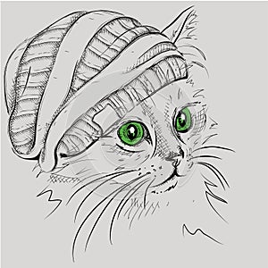 Image Portrait cat in the hat. Vector illustration.