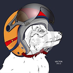 Image Portrait dog in motorcycle helmet. Vector illustration.