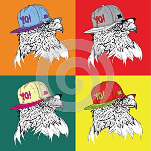 Image Portrait of eagle in a baseball cap with glasses.