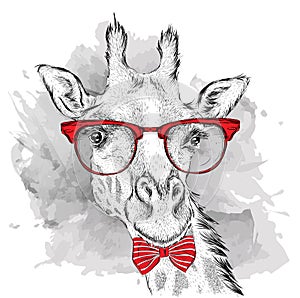 Image Portrait giraffe in the cravat and with glasses. Hand draw vector illustration.