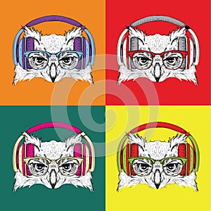 Image Portrait of owl in a baseball cap with glasses. Pop art style vector illustration