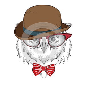 Image Portrait owl in the glasses and Hat. / african / indian / totem / tattoo design. Use for print, posters, t-shirts. Hand draw