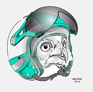 Image Portrait owl in motorcycle helmet. Vector illustration.