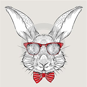 Image Portrait rabbit in the cravat and with glasses. Hand draw vector illustration.