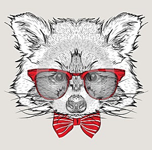 Image Portrait raccoon in the cravat and with glasses. Hand draw vector illustration.