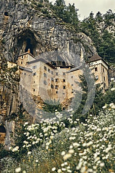 Image of Predjamski castle with flowers in the foreground