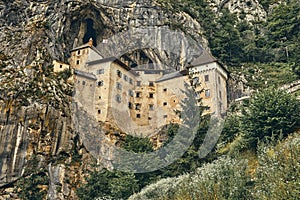 Image of Predjamski castle with flowers in the foreground