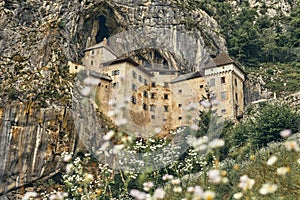 Image of Predjamski castle with flowers in the foreground