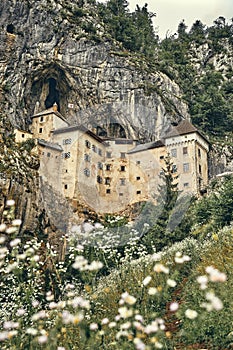 Image of Predjamski castle with flowers in the foreground