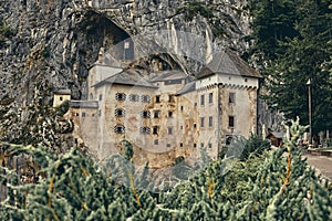 Image of Predjamski castle with flowers in the foreground