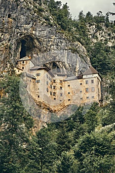 Image of Predjamski castle with trees in the foreground