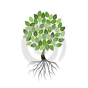 Green tree with roots an icon on a white background.