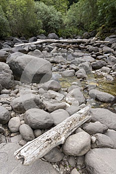 Streambed Stones and Shallow Water
