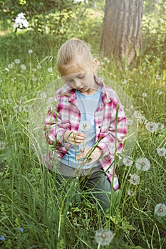 Image of pretty little girl sitting on dandelions field