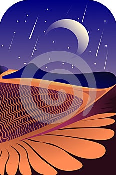 A night in the desert